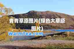 青青草原图片(绿色大草原图片)