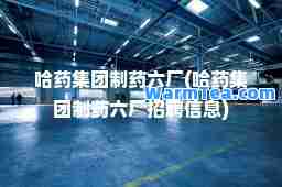 哈药集团制药六厂(哈药集团制药六厂招聘信息)