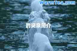 趵突泉简介