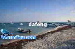dafeng