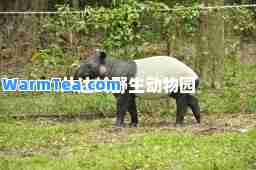 八达岭野生动物园