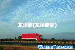 龙溪路(龙溪路站)