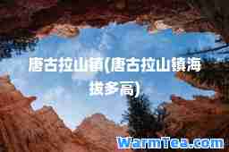 唐古拉山镇(唐古拉山镇海拔多高)