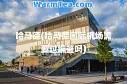 哈马德(哈马德机场需要过境签吗)