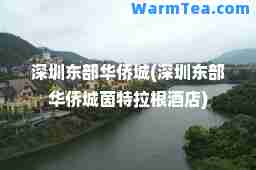 深圳东部华侨城(深圳东部华侨城茵特拉根酒店)
