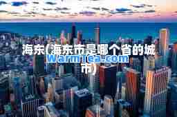 海东(海东市是哪个省的城市)
