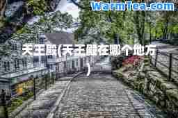 天王殿(天王殿在哪个地方)