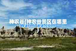 农谷(农谷景区在哪里)
