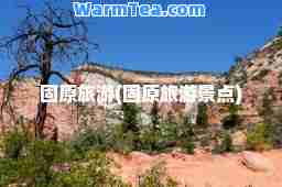 固原旅游(固原旅游景点)