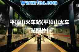 平顶山火车站(平顶山火车站图片)