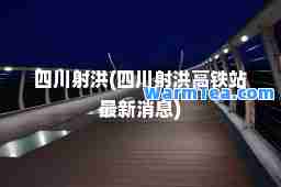 四川射洪(四川射洪高铁站消息)