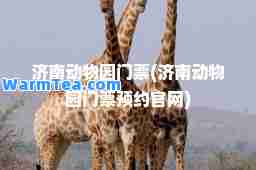 济南动物园门票(济南动物园门票预约官网)