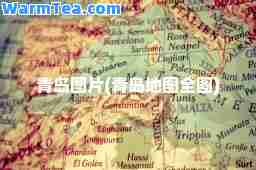青岛图片(青岛地图全图)