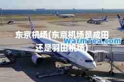 东京机场(东京机场是成田还是羽田机场)