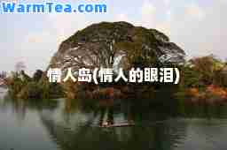 情人岛(情人的眼泪)