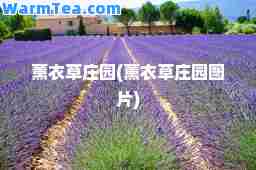 薰衣草庄园(薰衣草庄园图片)
