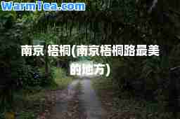 南京 梧桐(南京梧桐路最美的地方)