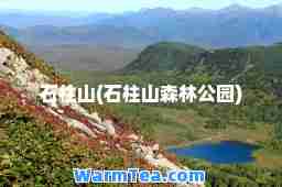 石柱山(石柱山森林公园)