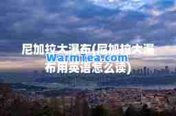 尼加拉大瀑布(尼加拉大瀑布用英语怎么读)