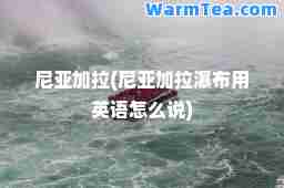 尼亚加拉(尼亚加拉瀑布用英语怎么说)