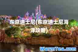 东京迪士尼(东京迪士尼海洋攻略)
