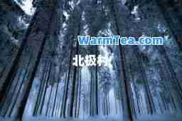 北极村