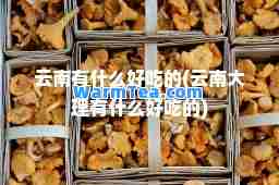 云南有什么好吃的(云南大理有什么好吃的)