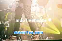 mao livehouse