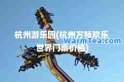 杭州游乐园(杭州方特欢乐世界门票价格)