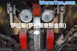 萨拉斯(萨拉斯变形金刚)