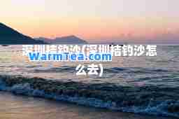 深圳桔钓沙(深圳桔钓沙怎么去)