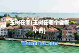 玉树在哪(玉树在哪个省哪个市)