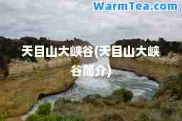 天目山大峡谷(天目山大峡谷简介)