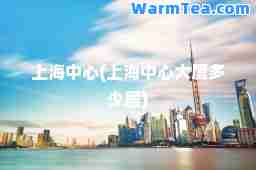上海中心(上海中心大厦多少层)