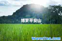 博罗平安山