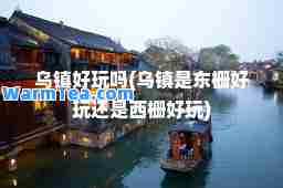 乌镇好玩吗(乌镇是东栅好玩还是西栅好玩)