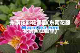 东南花都花博园(东南花都花博园在哪里)