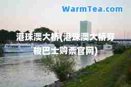 港珠澳大桥(港珠澳大桥穿梭巴士购票官网) 港珠澳大桥(港珠澳大桥穿梭巴士购票官网)