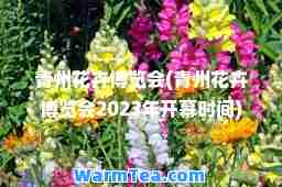 青州花卉博览会(青州花卉博览会2023年开幕时间)
