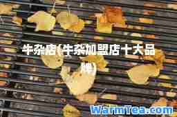 牛杂店(牛杂加盟店十大品牌)