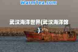 武汉海洋世界(武汉海洋馆)