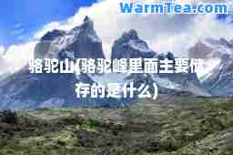 骆驼山(骆驼峰里面主要储存的是什么)
