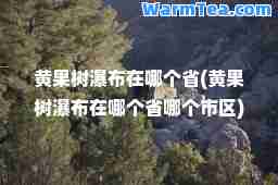 黄果树瀑布在哪个省(黄果树瀑布在哪个省哪个市区)
