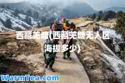 羌塘(羌塘无人区海拔多少)