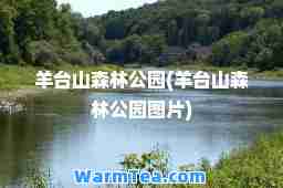 羊台山森林公园(羊台山森林公园图片)