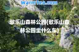 歌乐山森林公园(歌乐山森林公园坐什么车)