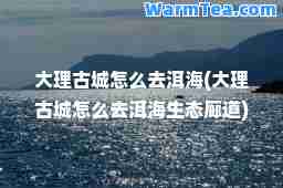 大理古城怎么去洱海(大理古城怎么去洱海生态廊道)