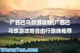 广西巴马旅游攻略(广西巴马旅游攻略自由行路线)