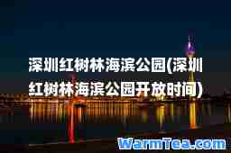 深圳红树林海滨公园(深圳红树林海滨公园开放时间)