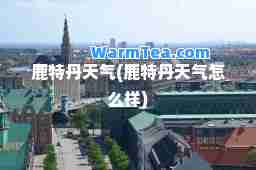 鹿特丹天气(鹿特丹天气怎么样)